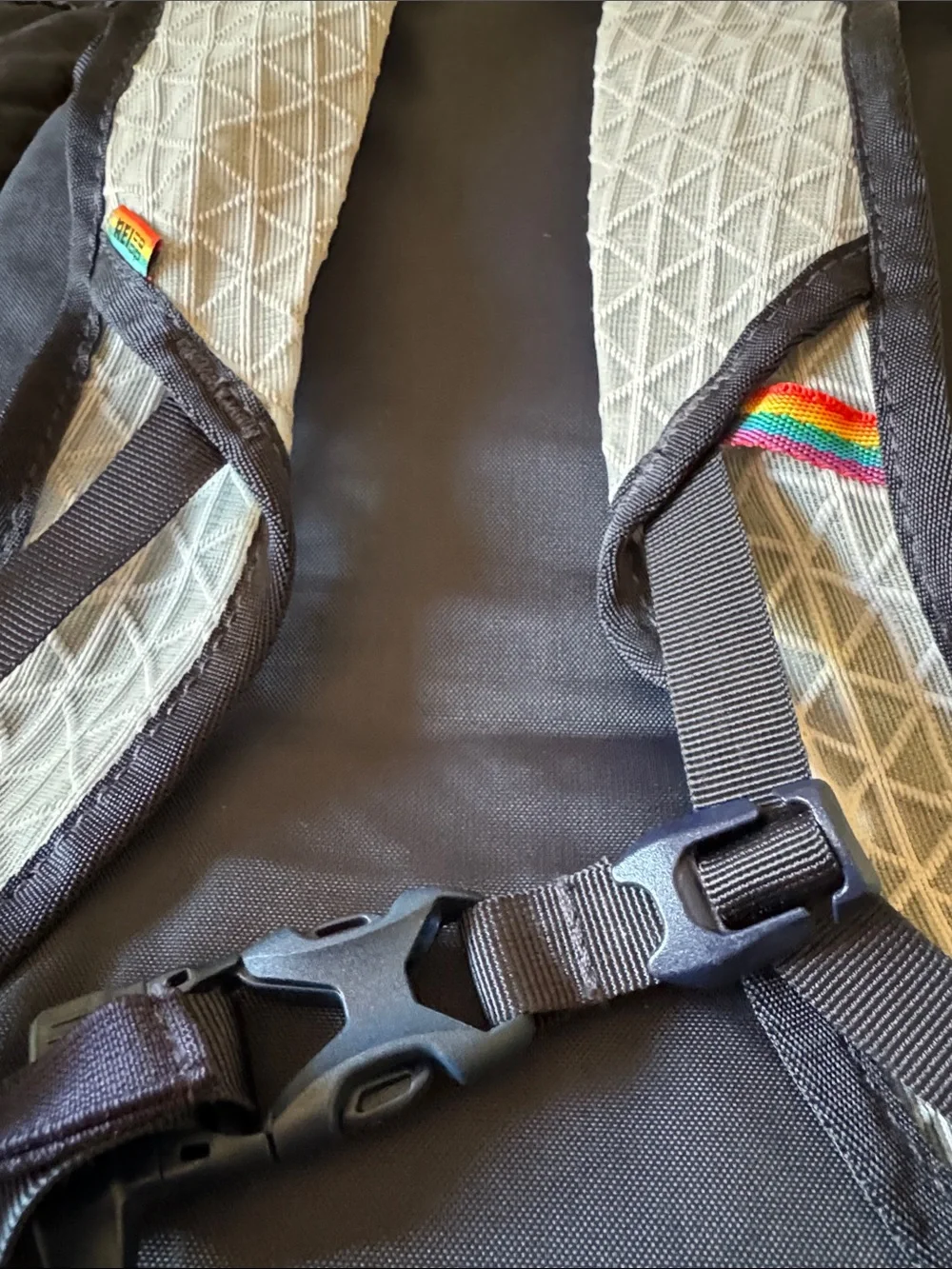 Dark Blue REI Daypack/hiking pack with Rainbow Strap